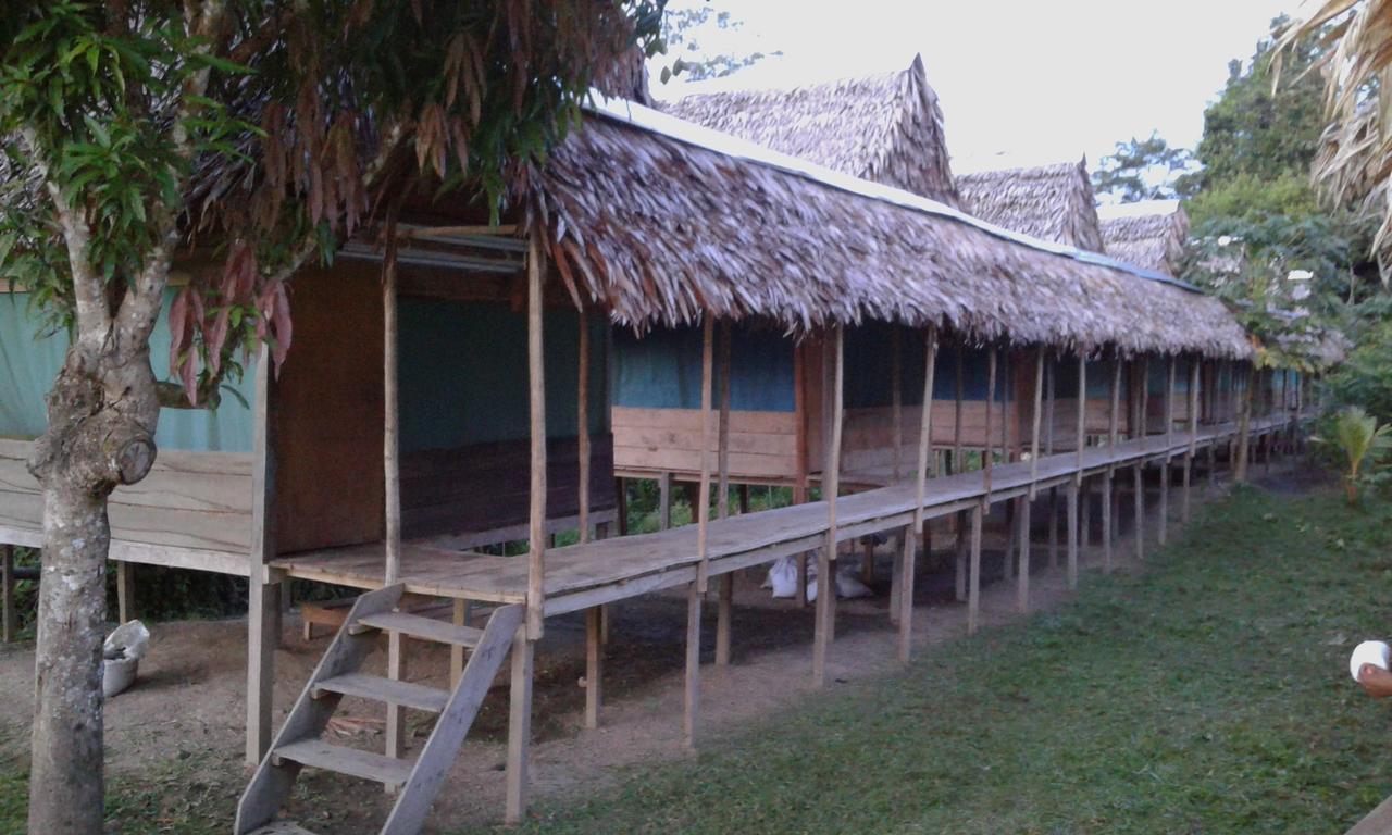 Santa Teresa  Amazon Golden Snake Lodge المظهر الخارجي الصورة